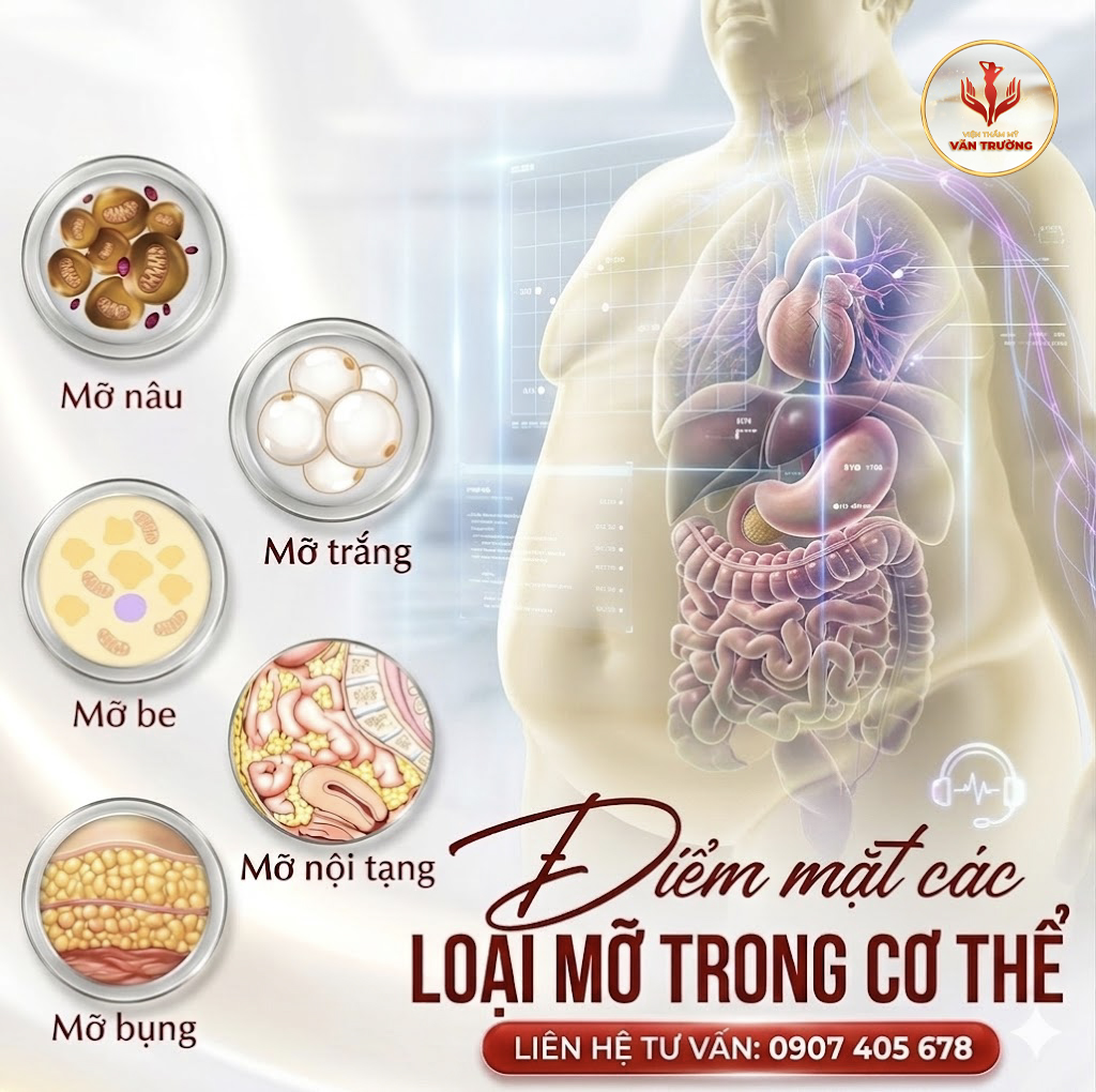 nhiều loại mỡ